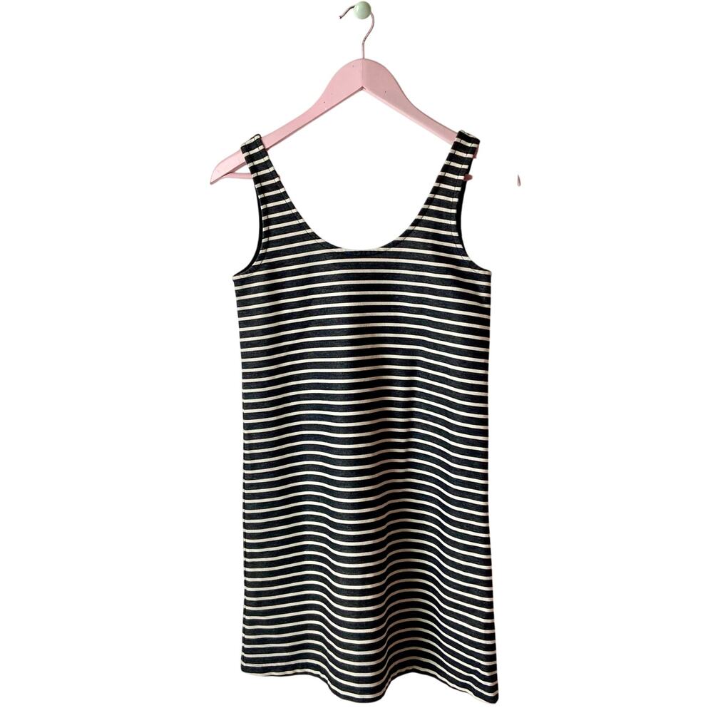 Madewell Stripe Dress